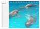 Thumbnail-13