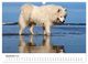 Thumbnail-11