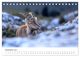 Thumbnail-14