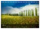 Thumbnail-10
