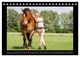 Thumbnail-10
