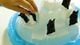 Thumbnail-10