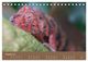 Thumbnail-10