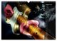 Thumbnail-13
