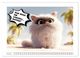 Thumbnail-8