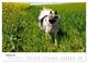Thumbnail-13