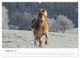 Thumbnail-14