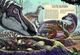 Thumbnail-9