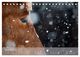 Thumbnail-14