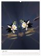 Thumbnail-11