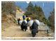 Thumbnail-9