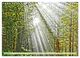 Thumbnail-8