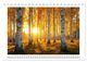 Thumbnail-14