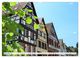 Thumbnail-13