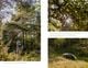 Thumbnail-11