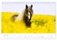 Thumbnail-10