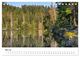 Thumbnail-10