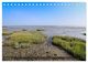 Thumbnail-14