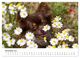 Thumbnail-12