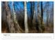 Thumbnail-13