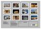 Thumbnail-4