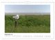Thumbnail-11