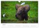 Thumbnail-12