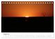 Thumbnail-13