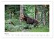 Thumbnail-9