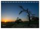 Thumbnail-9