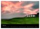Thumbnail-11