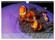 Thumbnail-12