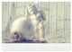 Thumbnail-12