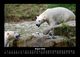 Thumbnail-12
