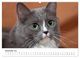 Thumbnail-14