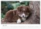 Thumbnail-11