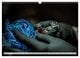 Thumbnail-11