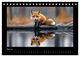 Thumbnail-10