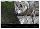 Thumbnail-14