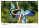 Thumbnail-10