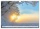 Thumbnail-14