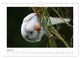 Thumbnail-9