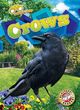 Thumbnail-0
