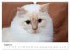 Thumbnail-10
