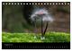 Thumbnail-10