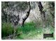 Thumbnail-8