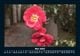 Thumbnail-9