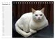 Thumbnail-13