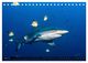 Thumbnail-9