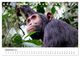 Thumbnail-11